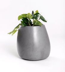Beton Amorf Saksı Koyu Gri Özel Tasarım